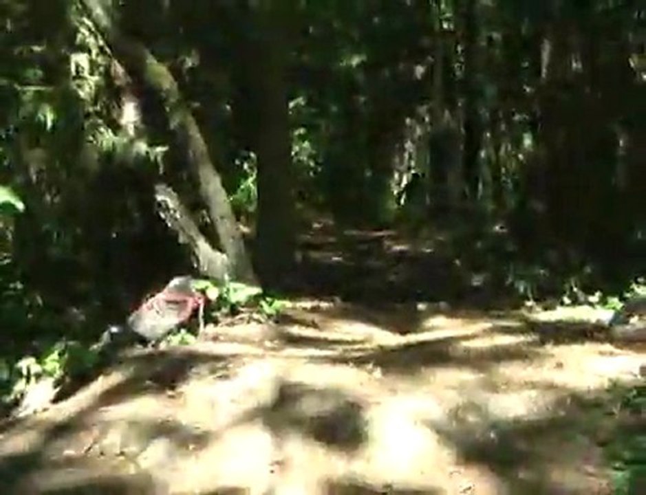 mountain bicycle