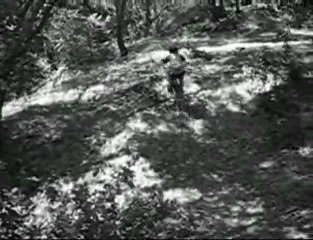 BW Vid
