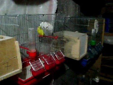 Hasan Ben- 0507 226 1518