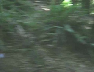 remake of harsh bailing (ALOT BETTER)