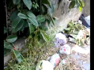 Aversa  - Via Colonna, rifiuti e comunicati