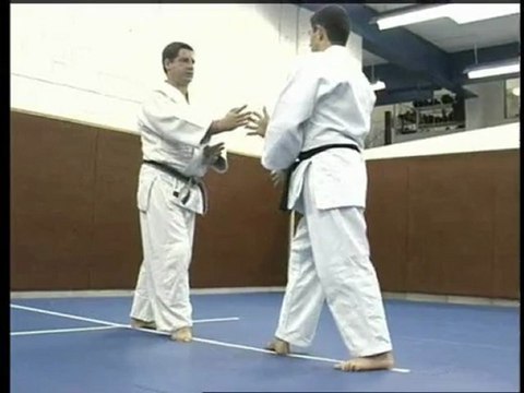methode et démonstration d'aikido