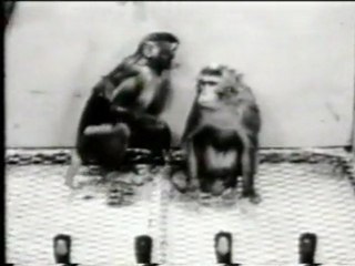 Aprendizaje asociativo: El condicionamiento