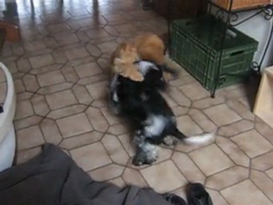 isia et odyssée