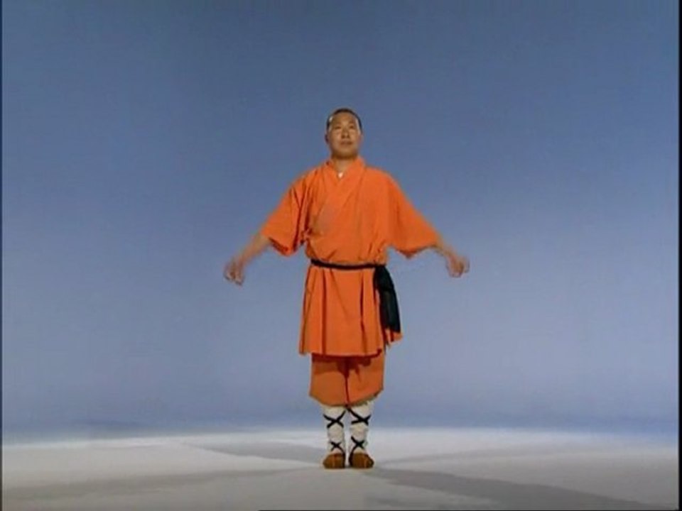 Cours de kung fu en ligne - Les pratiques de l'art martial