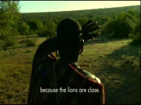 Voler de la nourriture à un groupe de lions ?