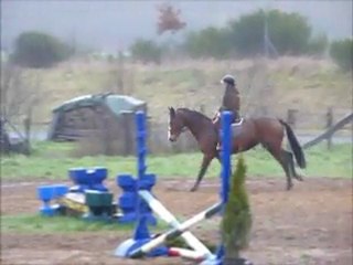 Siroco Royal, SF de 5 ans, en reconversion depuis 1 mois !