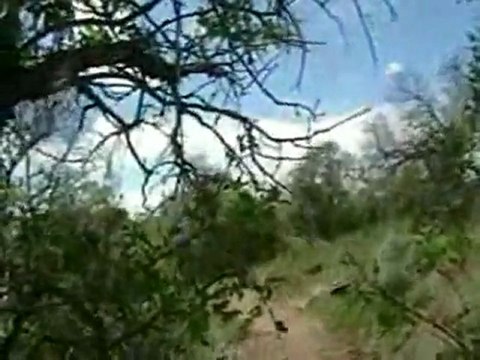 Mtn Biking (Kaysville City)