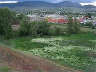 weekend sesh in kelowna