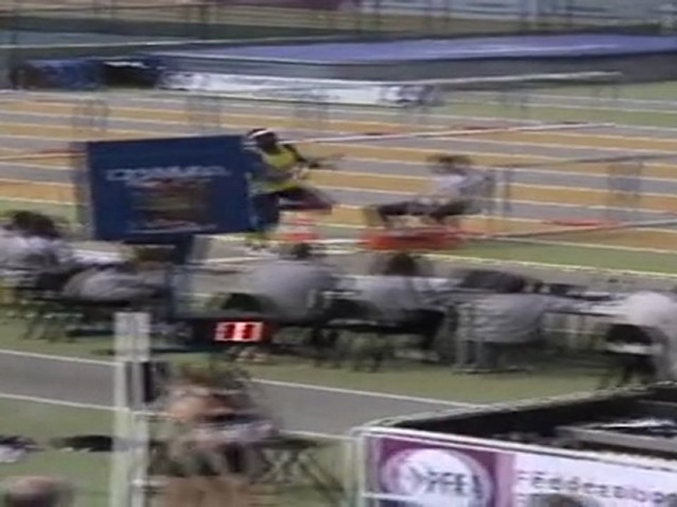 Record du monde triple saut by Teddy Tamgho (17m91)