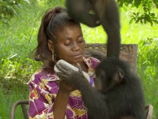BONOBOS - Vidéo Bande-annonce