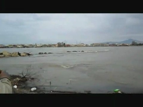 Castel Volturno (CE) - Viaggio nell'Oasi dei Variconi 2