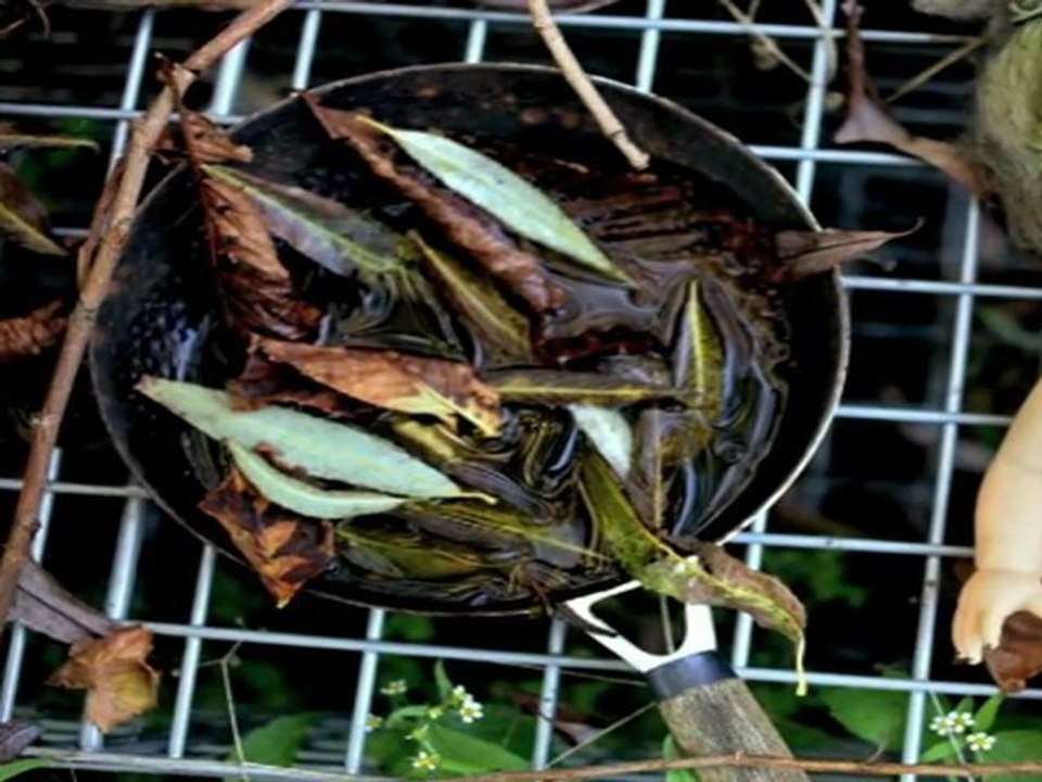 PJ  Harvey - Let England Shake videos