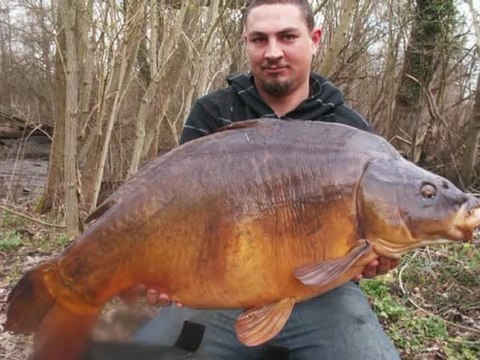 Miroir 23KG 21KG 20KG etc etc etc combat fish spot