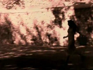 Le Lavoir (teaser) Format MPEG4