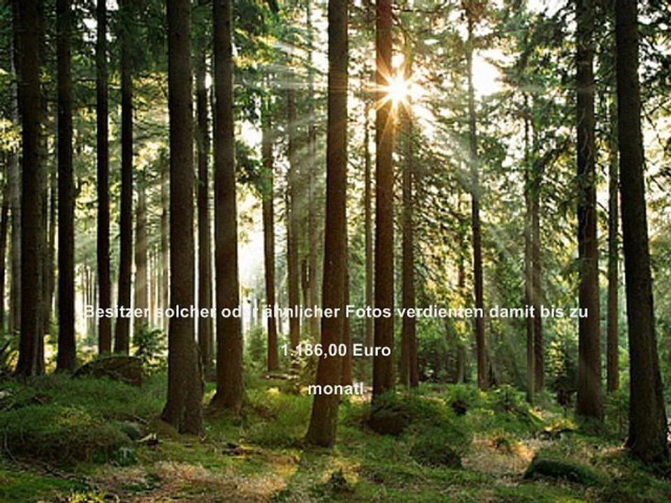 Eigene Fotos verkaufen und Geld verdienen!