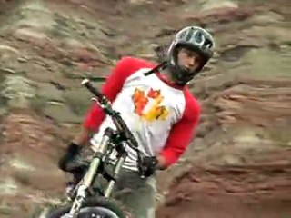 Tedman's Section -- Trail n' Park Boys: Bigger Tricks, Little Brains