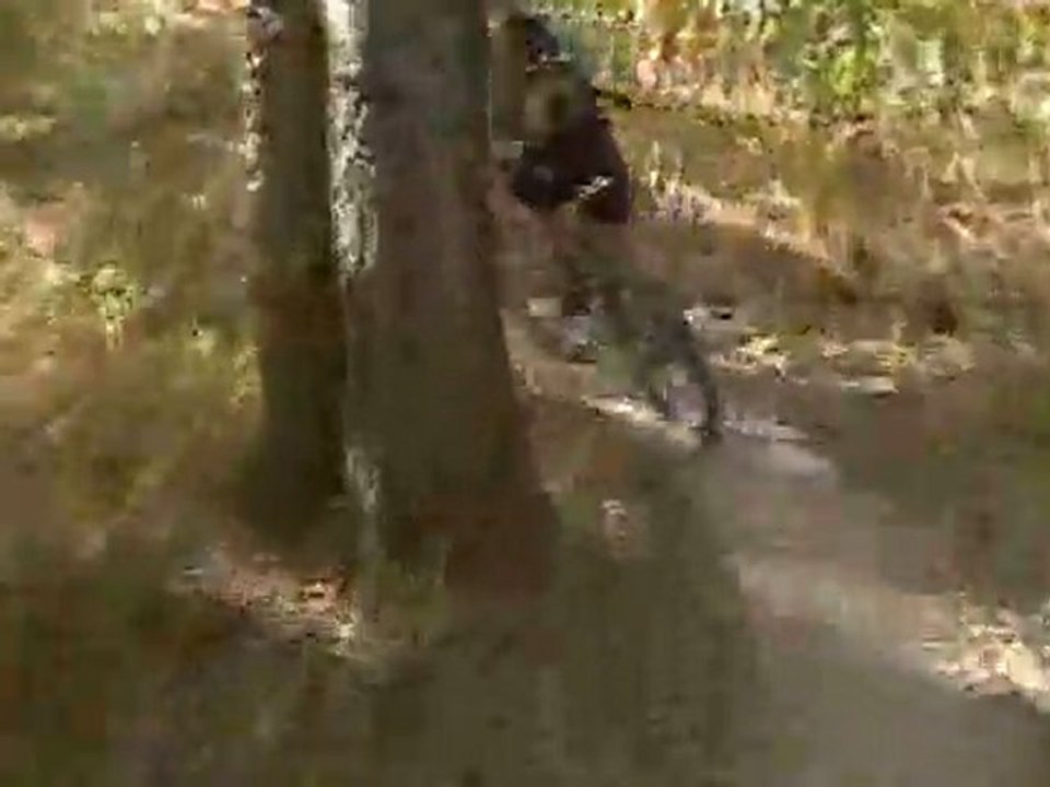 RCP South