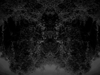 Laura Pawela GSW Opole 1