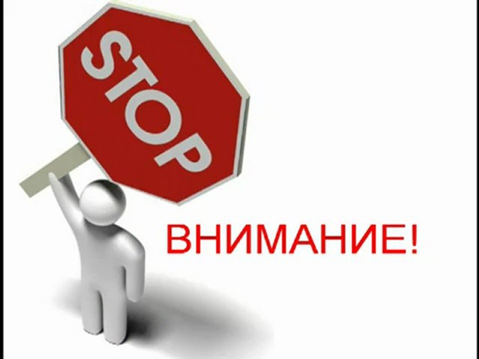 Компания System Trust (Система Доверия) колышет Интернет!