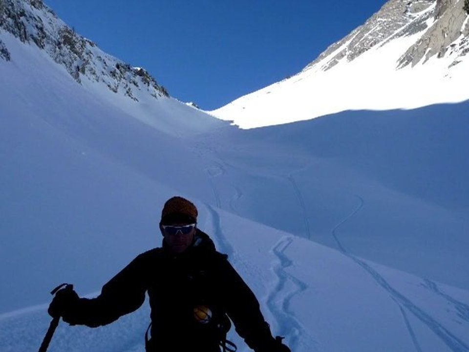 dos de chameau