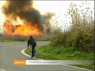 Incendi al Parc Natural de s'Albufera