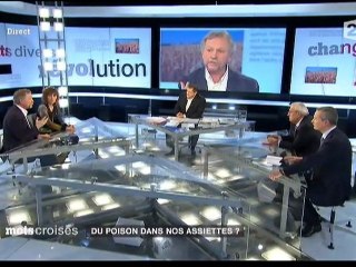 Mots croises - du poison dans nos assiettes 2.3