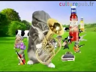 Cute: country kittens crushing cows