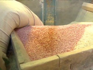 Quinoa brings hard cash to Bolivia