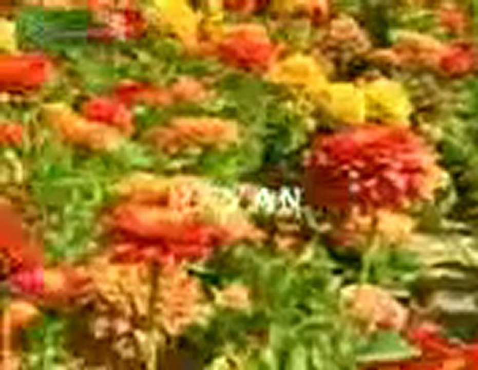 Quron