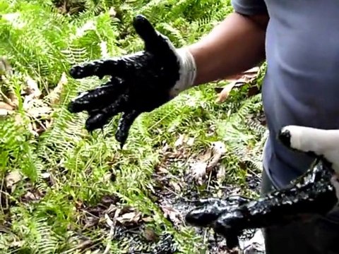 Daños ambientales atribuidos a Chevron en Ecuador