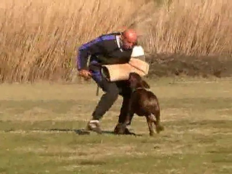 Concours RCI 1 Desgayls Défense Attaque lancée