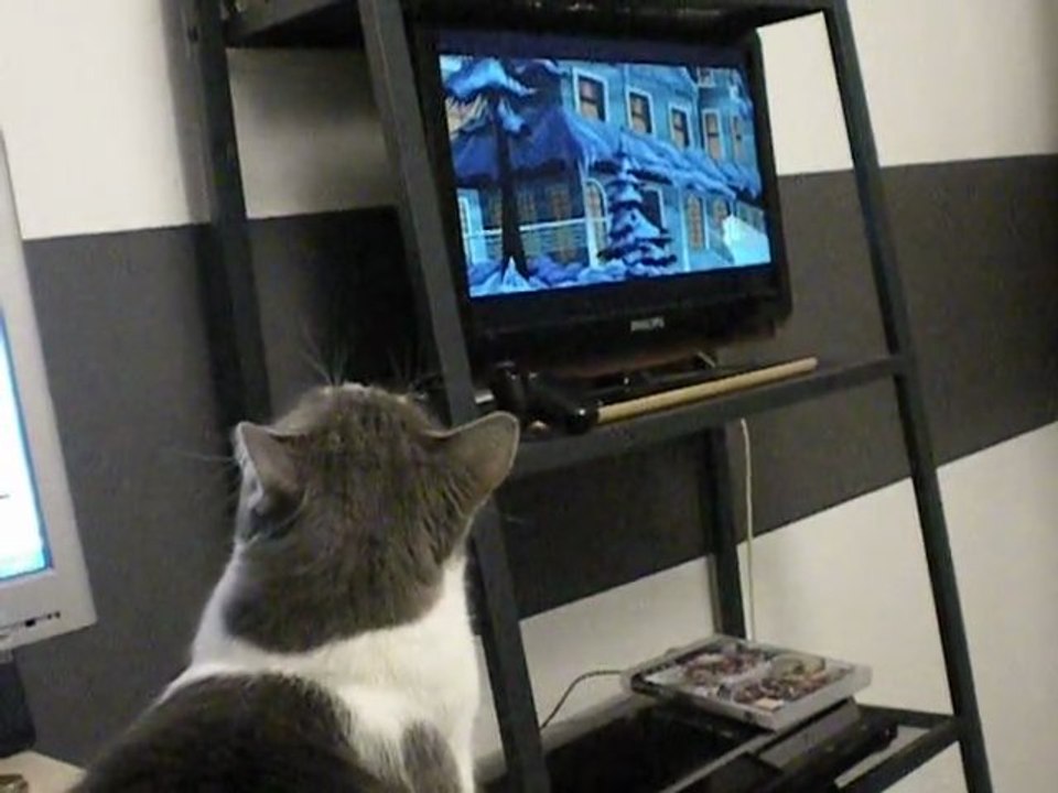Chat TV