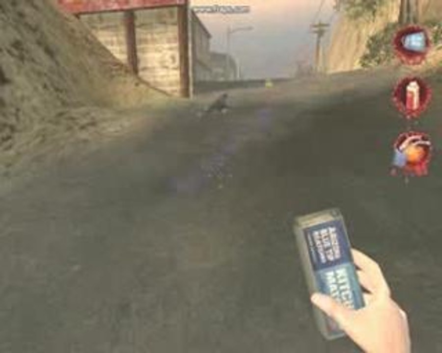 Postal 2