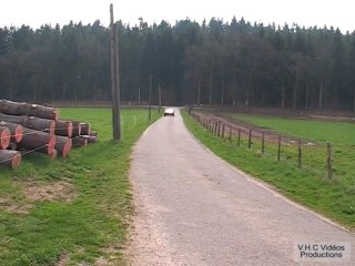 Rallye de la porcelaine historique 2010 part4