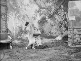 Le rêve du radjah ou la forêt enchantée (1900) - Georges Mél