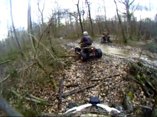 Quad Les phacochères 1