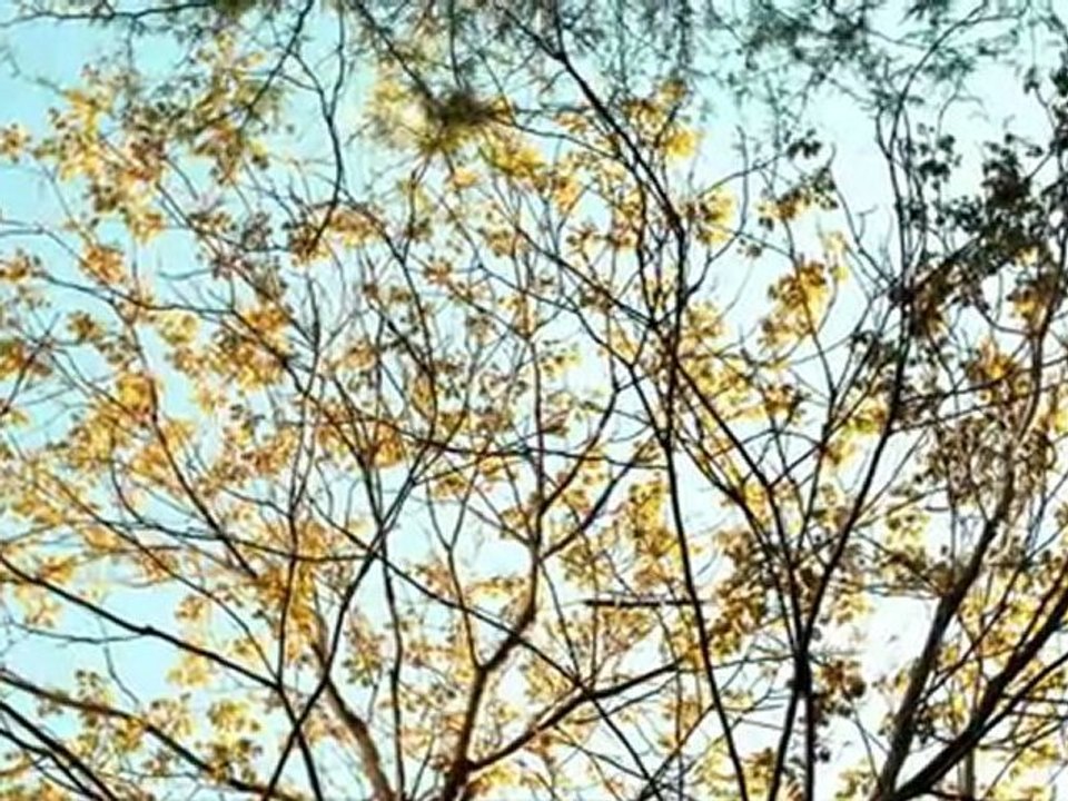 Küçük Günahlar Fragman