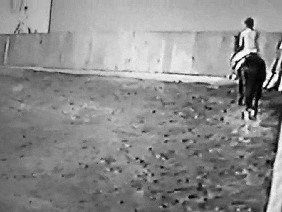 reprise dressage du galop 4