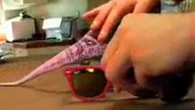 Chameleon