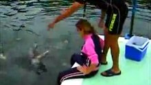 Dolphin-tries-it-on-with-a-woman