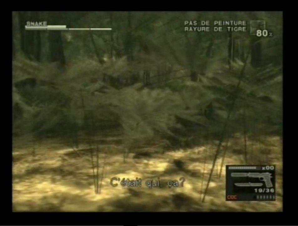 VidéoFan De Metal Gear Solid 3 Snake Eater Sur PS2