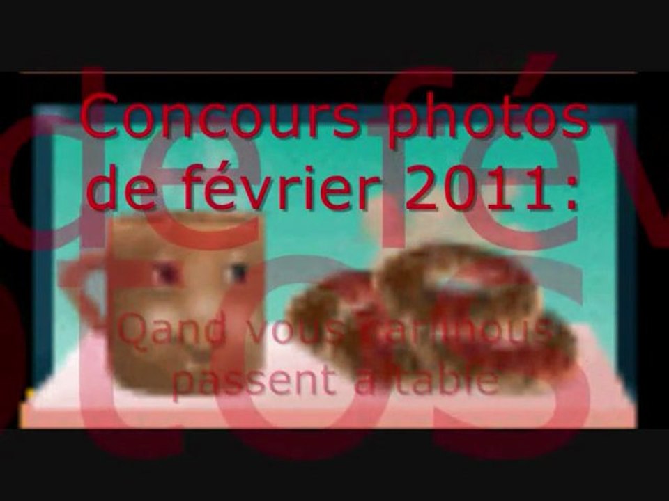 concours photos février 2011 !!!!