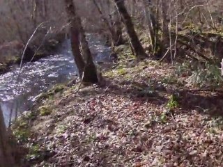 RANDO CANTAL