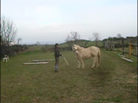 Travail du 23 février 2011 avec Kiss Me