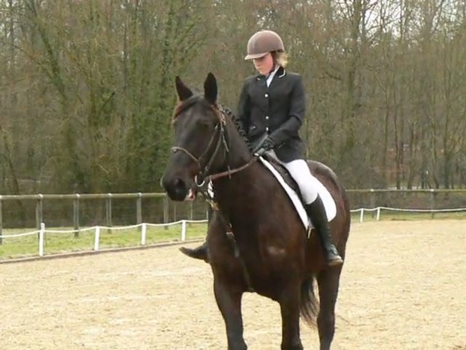 Ambre sur Pollux-20.02.2011.dressage club 3-ATH Laval-