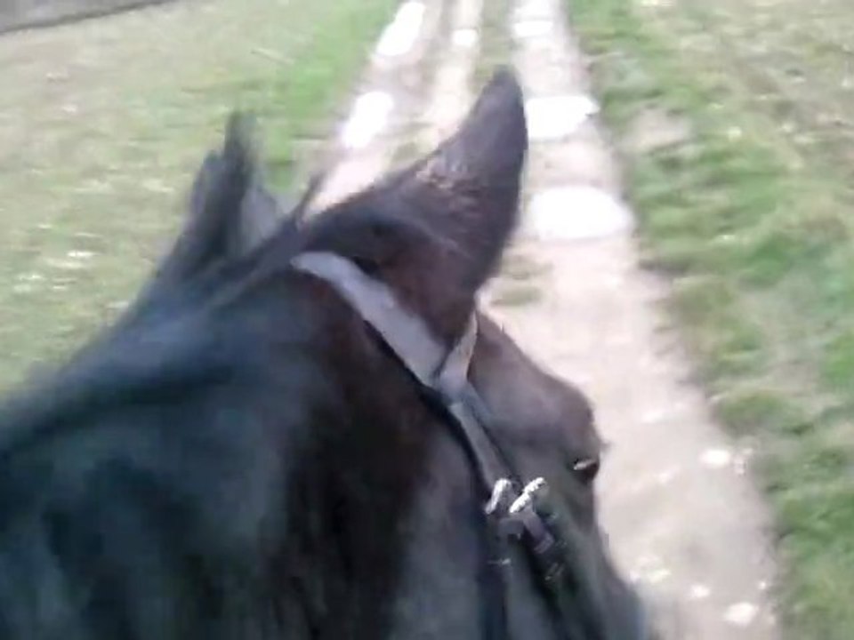 1ère balade 2011 suite