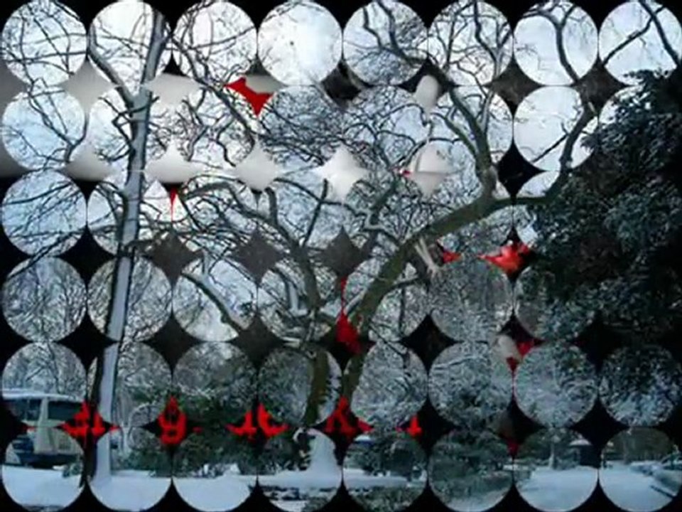 ali eren ölesim gelir