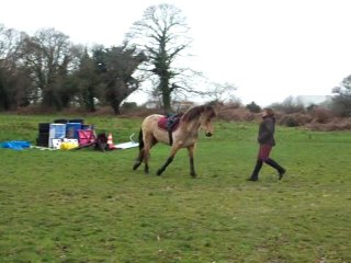 séjour bretagne fevrier 2011