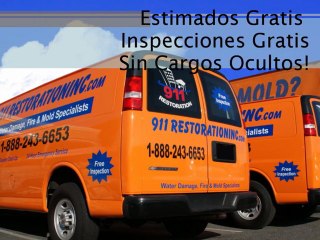 Elimina el Moho de Tu Hogar con 911 Restoration San Antonio 🏠